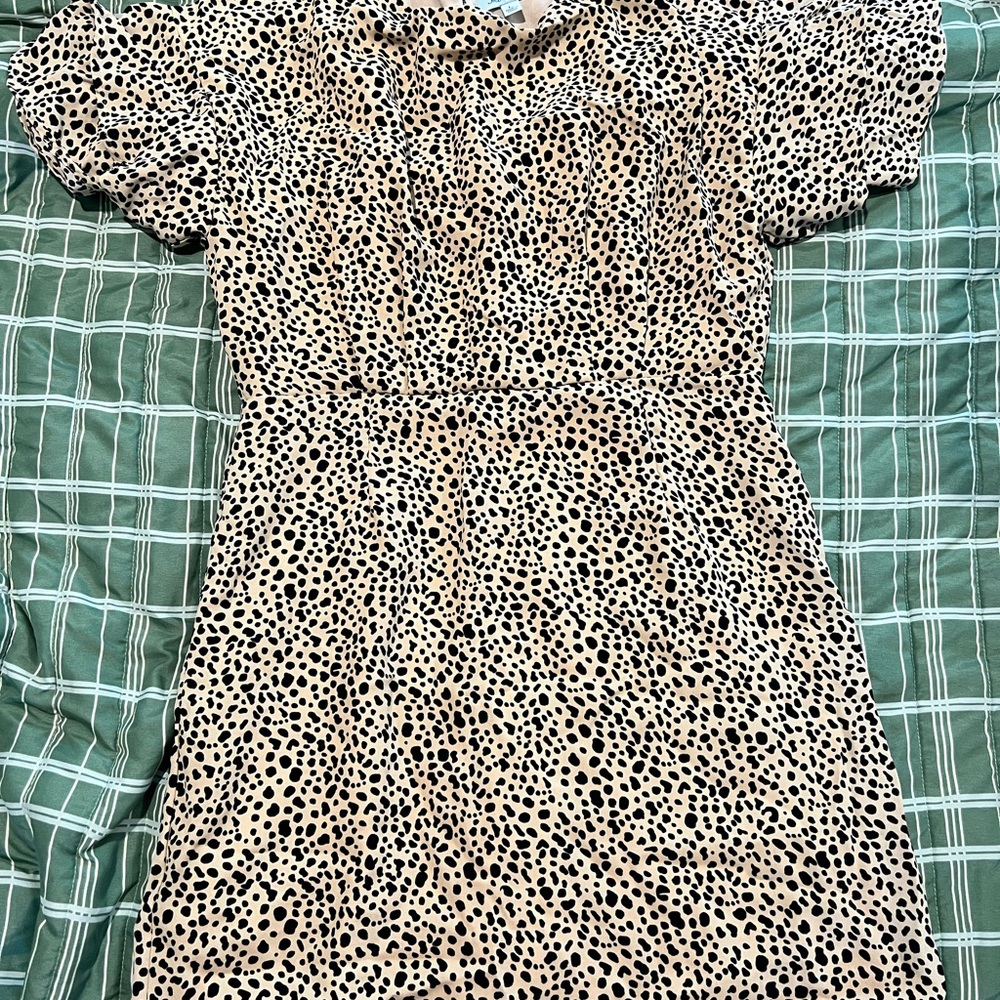 She + Sky Leopard Print Mini Dress
